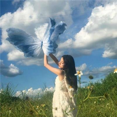 极地漫步