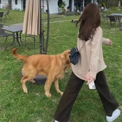 妮娜琦珈